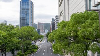 Thumbnail of post image 078