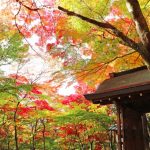 Thumbnail of post image 068