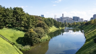 Thumbnail of post image 120