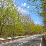 Thumbnail of post image 031