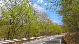 Thumbnail of post image 025