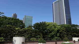 Thumbnail of post image 196