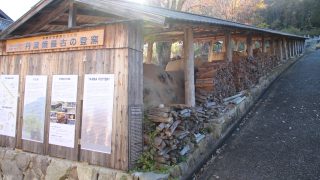 Thumbnail of post image 047