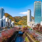 Thumbnail of post image 018