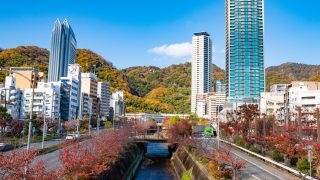 Thumbnail of post image 058