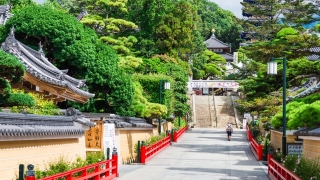 Thumbnail of post image 043