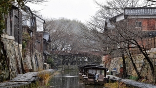 Thumbnail of post image 115