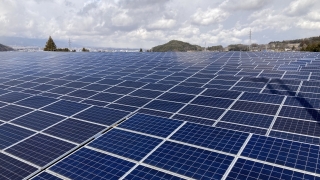 Thumbnail of post image 131