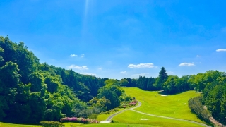 Thumbnail of post image 195