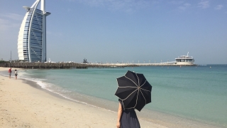 Thumbnail of post image 001